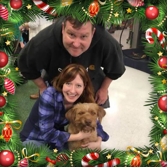 Meet your Posher, Ginger - Picture 3 of 3